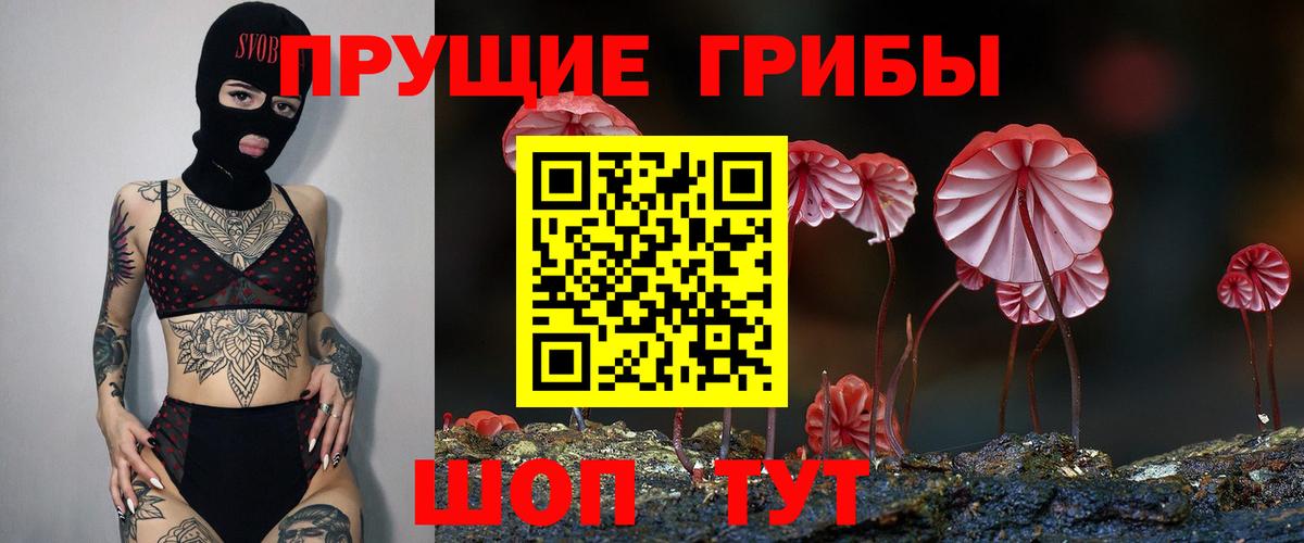 Галлюциногенные грибы GOLDEN TEACHER Зима