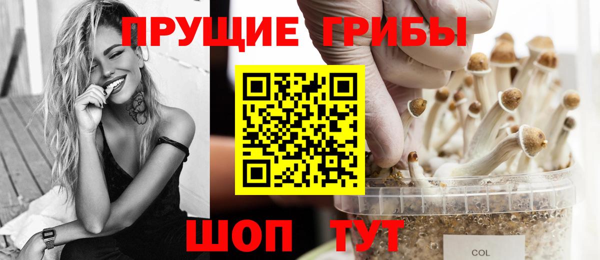 Зима  Галлюциногенные грибы Magic Shrooms  Вход с VPN 